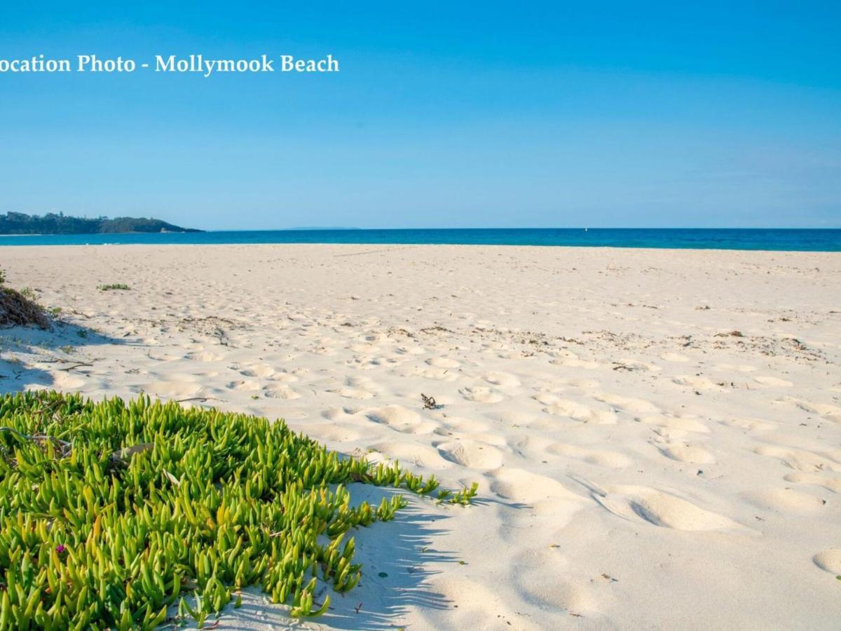 Mollymook Beach Haven Exterior photo